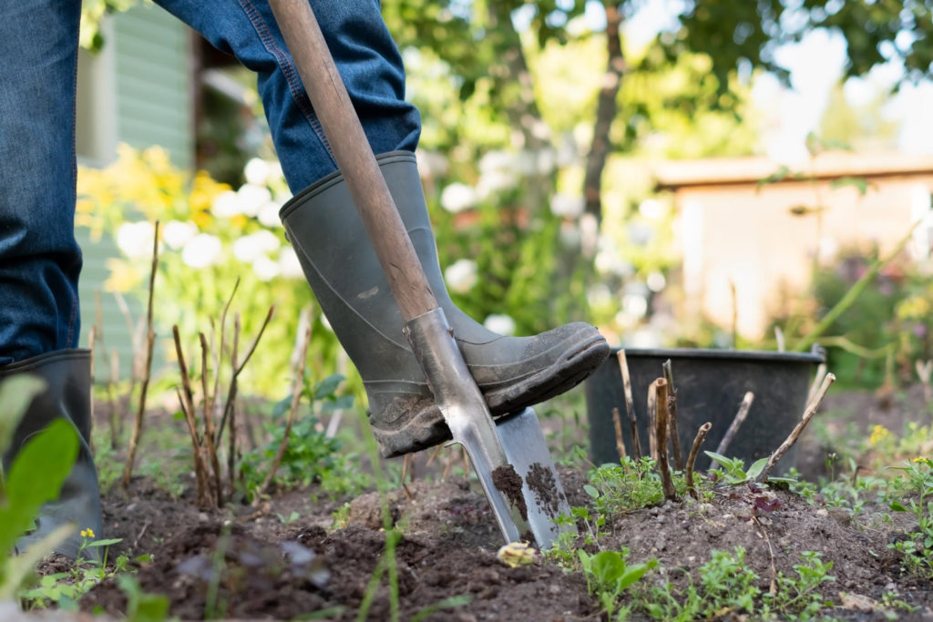 Combien de temps faut-il pour bêcher les 100 m2 de terrain ?